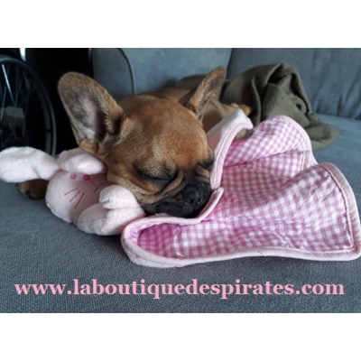 DOUDOU ROSE OU BLEU POUR CHIOTS BOULIS