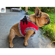 HARNAIS VESTE JULES POUR BOULEDOGUE FRANCAIS MILK AND PEPPER