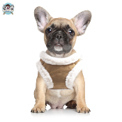 HARNAIS VESTE DECLAN MILK AND PEPPER POUR BOULEDOGUE