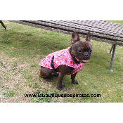 GILET RAFRAICHISSANT ROSE BOULEDOGUE