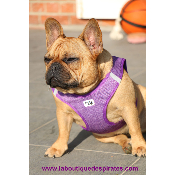 HARNAIS VESTE CURLI LILAS BOULEDOGUE