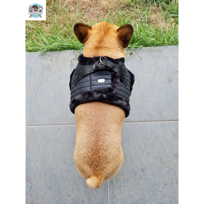 HARNAIS VESTE KURT MILK AND PEPPER POUR BOULEDOGUE