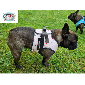 HARNAIS VESTE SUZANNE MILK AND PEPPER POUR BOULEDOGUE