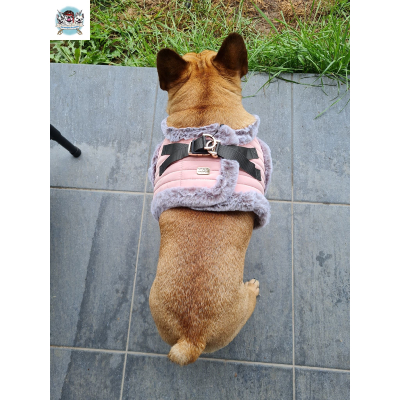 HARNAIS VESTE ZORA MILK AND PEPPER POUR BOULEDOGUE