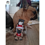 PELUCHE BOULEDOGUE FRANCAIS DE NOEL