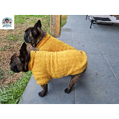 PULL TORSADE MOUTARDE POUR CHIEN