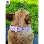 COLLIER CUIR  HOLLYWOOD POUR BOULEDOGUE