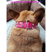 COLLIER REBELLE ROSE POUR BOULEDOGUE