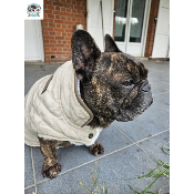 DOUDOUNE GUNNAR SPECIALE BOULEDOGUE FRANCAIS