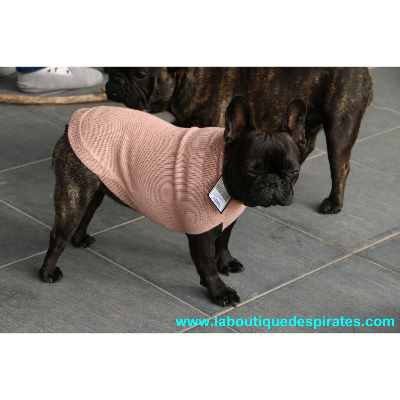 PULL COL CLAUDINE POUR BOULEDOGUE