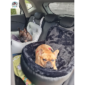 COSY CAR BLACK CONFORT TEDDY POUR BOULEDOGUE