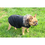 MANTEAU FORD POUR BOULEDOGUE