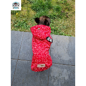 IMPERMEABLE COLETTE POUR BOULEDOGUES FRANCAIS & ANGLAIS