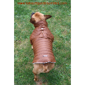 MANTEAU LEGEND POUR BOULEDOGUE