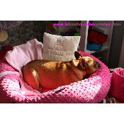 POUF BUBBLE GUM POUR BOULEDOGUES