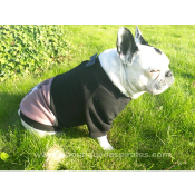 SWEAT TEO DANDY POUR BOULEDOGUE