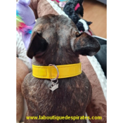 COLLIER COCO JAUNE POUR BOULEDOGUE