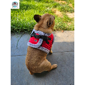 HARNAIS VESTE JULES POUR BOULEDOGUE FRANCAIS MILK AND PEPPER