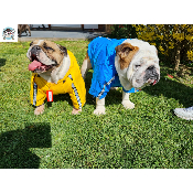 IMPERMEABLE POUR BOULEDOGUE  PUPPIA