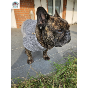 PULL KEELAN GRIS SPECIAL BOULEDOGUE FRANCAIS