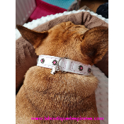 COLLIER HIPPIE BLANC POUR BOULEDOGUE