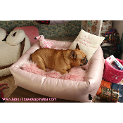 DIVAN BELLA ROSE POUR BOULEDOGUES