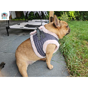 HARNAIS VESTE ELEONORE MILK AND PEPPER BOULEDOGUE FRANCAIS