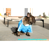 IMPERMEABLE BOULEDOGUE BLEU