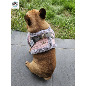 HARNAIS VESTE HERMINE POUR BOULEDOGUE FRANCAIS MILK AND PEPPER