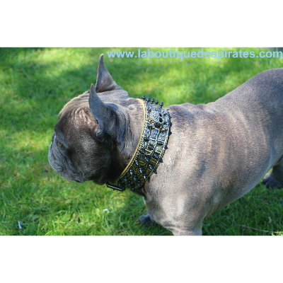 COLLIER EN CUIR PIRATE POUR CHIEN