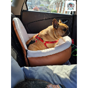 COSY CAR CARAMEL CONFORT POUR BOULEDOGUE