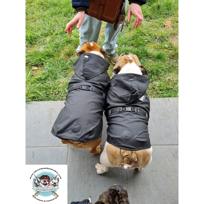 IMPERMEABLE STUART POUR BOULEDOGUE ANGLAIS