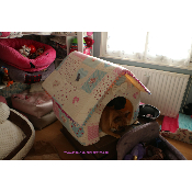 MAISON PAPILLON POUR BOULEDOGUE