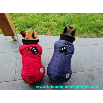 manteau chien bulldog anglais