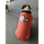 MANTEAU COSTAUD SAUMON SPECIAL BOULEDOGUE ANGLAIS