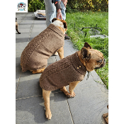 PULL CONNOR MARRON SPECIAL BOULEDOGUE FRANCAIS ET ANGLAIS