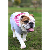 SWEAT A CAPUCHE ROCK DOG