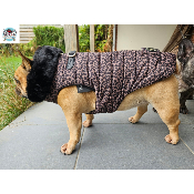 DOUDOUNE HARNAIS INTEGRE AMARA POUR BOULEDOGUE FRANCAIS