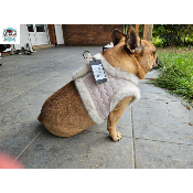 HARNAIS VESTE ANIA POUR BOULEDOGUE FRANCAIS MILK AND PEPPER