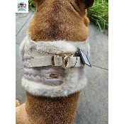 HARNAIS VESTE ANIA POUR BOULEDOGUE FRANCAIS MILK AND PEPPER