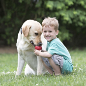 CLASSIC KONG POUR CHIEN