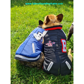 MANTEAU DOG UNIVERSITY PAR BOBBY