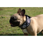 COLLIER RAFRAICHISSANT GRIS BOULEDOGUE