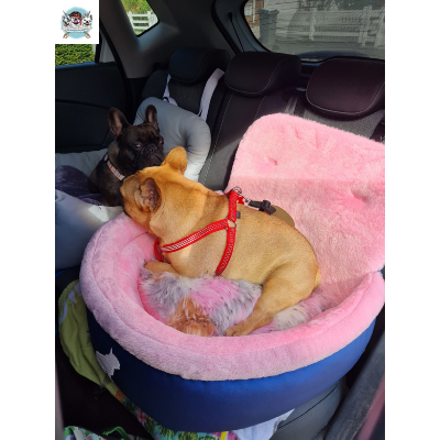 COSY CAR CONFORT BARBE A PAPA