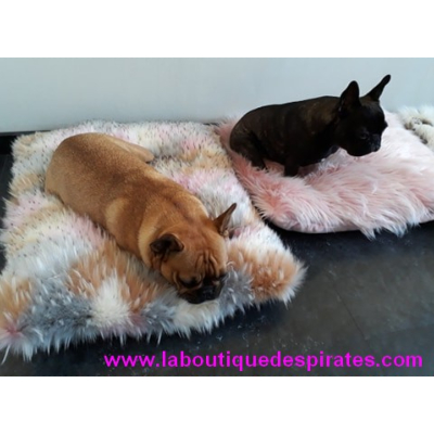 NOS COUSSINS