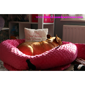 POUF BUBBLE GUM POUR BOULEDOGUES