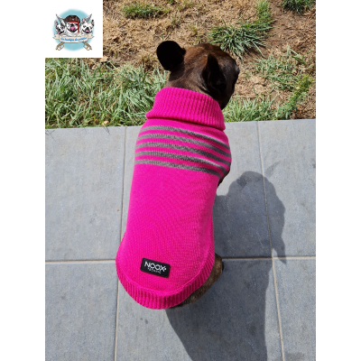 PULL DISCOVERY PINK POUR CHIEN