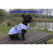 TEE SHIRT CAPTAIN MP POUR BOULEDOGUE