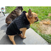 PARKA ADAM MILK AND PEPPER POUR BOULEDOGUE