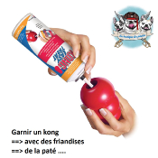 CLASSIC KONG POUR CHIEN